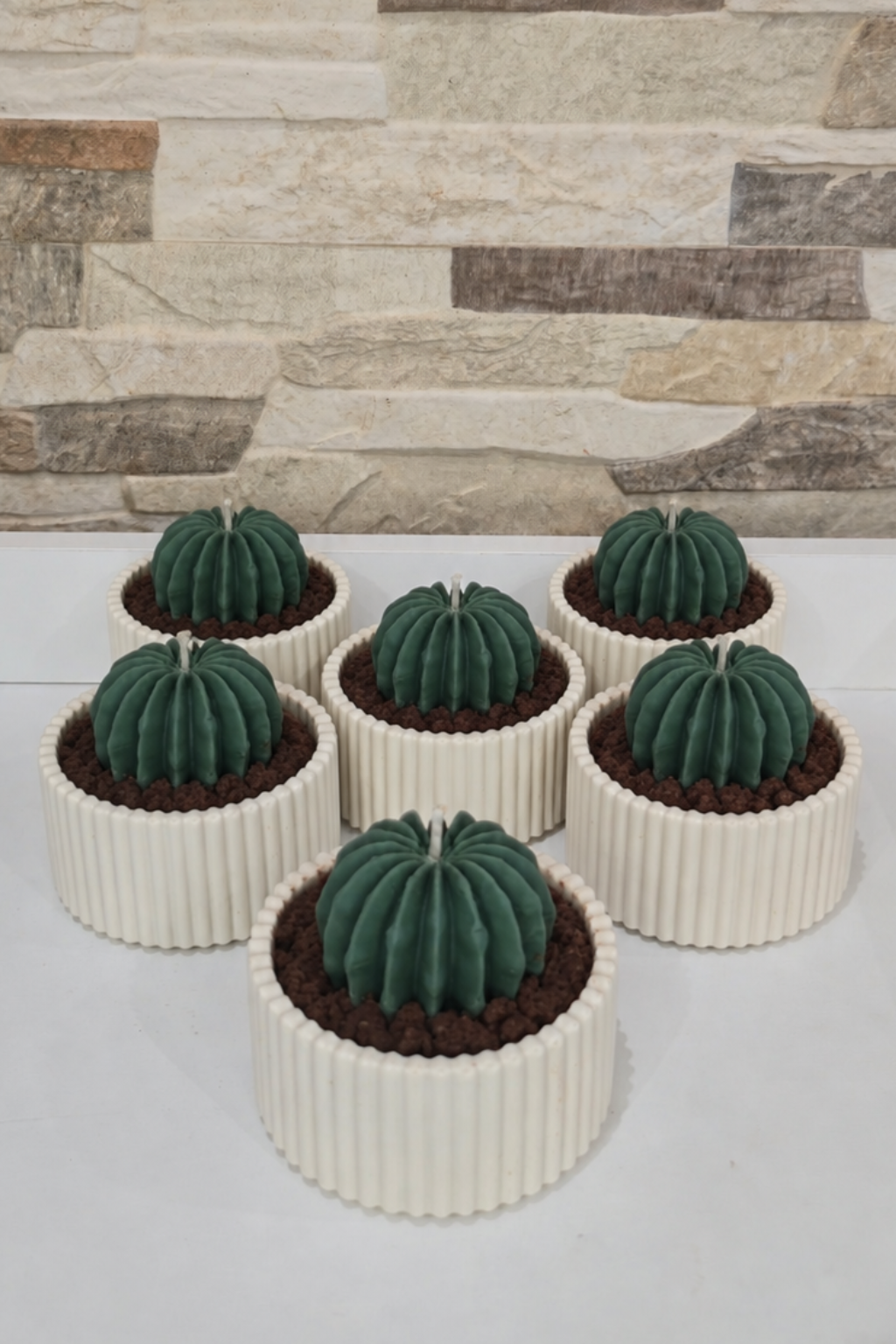 Detalles artesanales para invitados 🌵